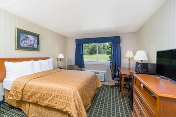 Room, 1 Queen Bed, Accessible, Non Smoking (Roll-In Shower)