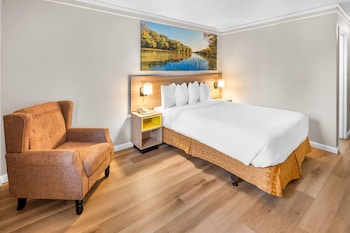 Room, 1 Queen Bed, Non Smoking