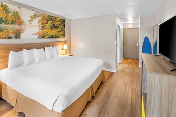 Room, 1 King Bed, Accessible, Non Smoking (Roll-In Shower)