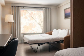 Room, Multiple Beds