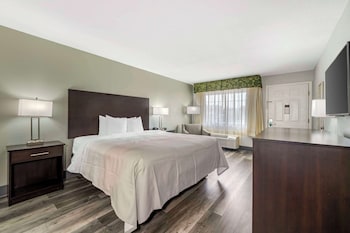 Standard Room, 1 King Bed, Non Smoking