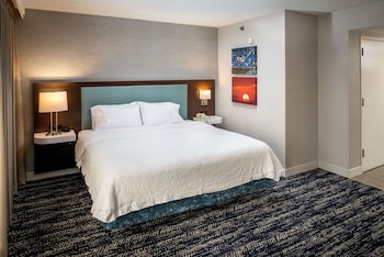 Room, 1 King Bed, Accessible, Non Smoking (Roll-in Shower)