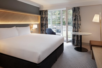 Room, 1 King Bed, Balcony (with Patio or Balcony, Plus)