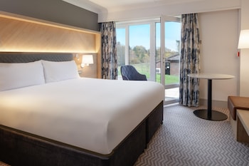 Room, 1 King Bed