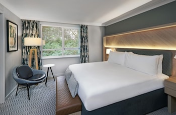 Junior Suite, 1 King Bed (Wellness)