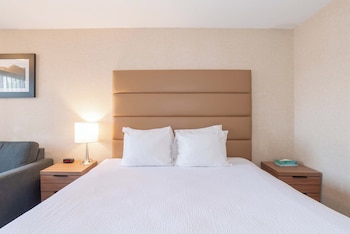 Standard Room, 1 King Bed with Sofa bed