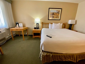 Standard Room, 1 King Bed, Non Smoking (Pet Friendly)