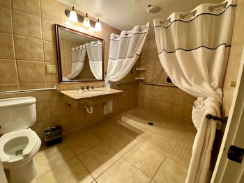 Standard Room, 1 King Bed, Accessible, Non Smoking