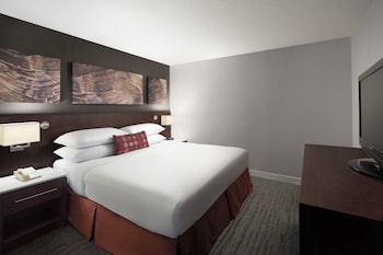 Executive Suite, 1 King Bed with Sofa bed