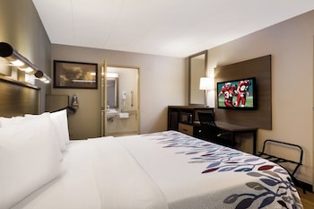 Superior Room, 1 King Bed, Accessible (Smoke Free)