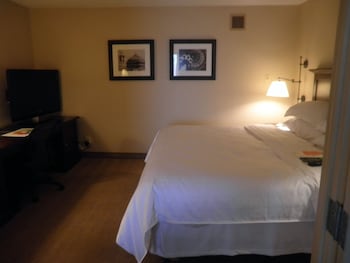 Traditional Room, 1 King Bed (Mobility Accessible, Roll-In Shower)
