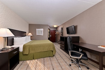 Room, 1 King Bed