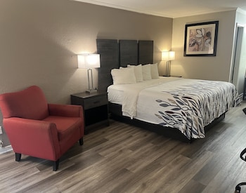 Deluxe Room, 1 King Bed, Non Smoking