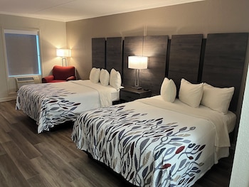 Deluxe Room, 2 Queen Beds, Non Smoking