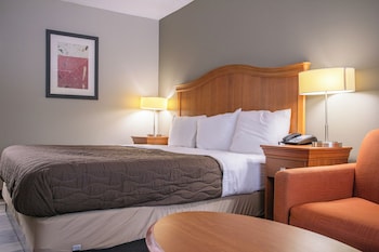 Room, 1 King Bed, Smoking