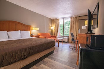 Room, 1 King Bed, Smoking