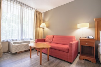 Room, 1 King Bed, Accessible Bathtub, Non Smoking