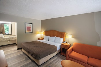 Room, 1 King Bed, Smoking