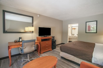 Room, 1 King Bed, Smoking