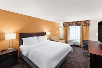 Standard Room, 1 King Bed with Sofa bed