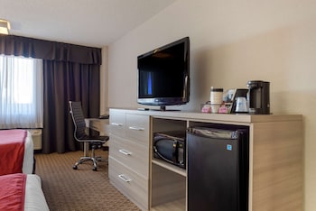 Standard Room, 1 Queen Bed, Non Smoking, Refrigerator & Microwave (with Sofabed)