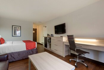 Standard Room, 1 Queen Bed, Non Smoking, Refrigerator & Microwave (with Sofabed)