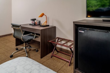 Room, 1 King Bed, Accessible, Non Smoking