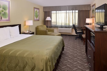 Standard Room, 1 King Bed, Accessible with Roll-In Shower, Non Smoking
