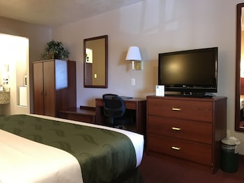 Standard Room, 1 King Bed, Non Smoking (Pet Friendly)