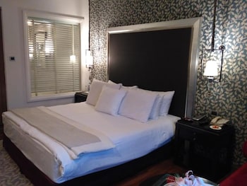 Rajputana Royale, Club lounge access, Double, Pool view