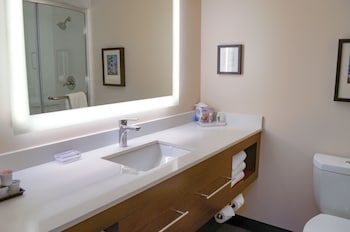 Standard Room, 1 King Bed, Accessible (Mobility, Roll-In Shower)