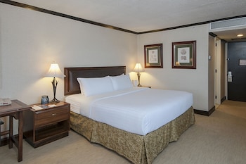 Standard Room, 1 King Bed, City View