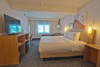 Room, 1 King Bed, Non Smoking (Upgrade)