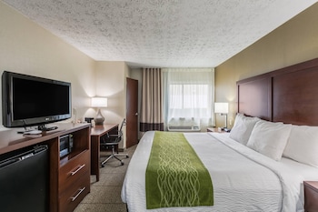 Room, 1 King Bed, Accessible, Non Smoking