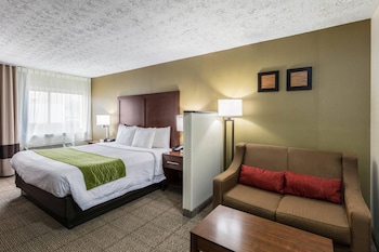 Room, 1 King Bed with Sofa bed, Non Smoking (Upgrade)