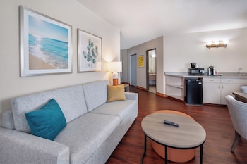 Suite, 1 King Bed with Sofa bed, Non Smoking (Efficiency)