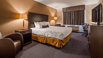 Standard Room, 1 King Bed, Non Smoking, Refrigerator & Microwave (Pet Friendly)