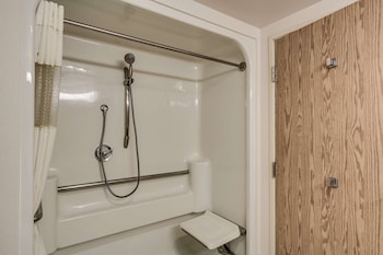 Standard Room, 1 King Bed, Accessible, Refrigerator & Microwave (Pet Friendly)