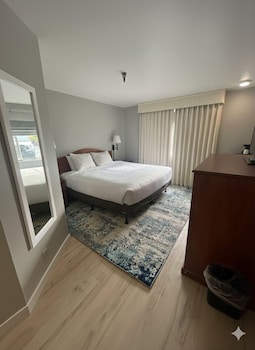 Standard Room, 1 King Bed, Non Smoking, Refrigerator & Microwave (Pet Friendly)