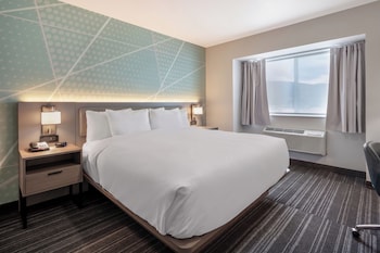 Suite, 1 King Bed with Sofa bed, Non Smoking (Efficiency)