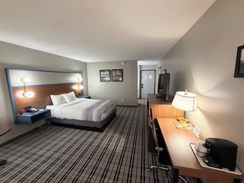 Room, 1 King Bed, Non Smoking, Pool View