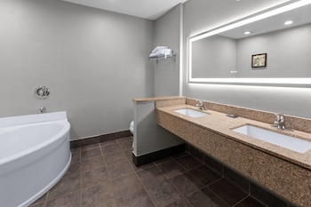 Room, 1 King Bed, Non Smoking, Pool View (Standing Shower)