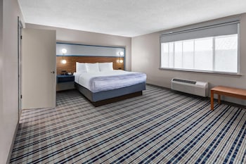 Room, 1 King Bed, Non Smoking, Pool View (Standing Shower)