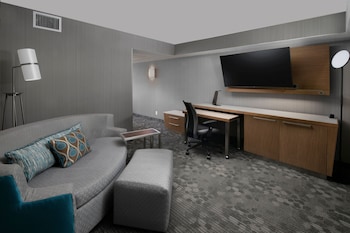 Room, 1 King Bed with Sofa bed
