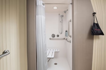 Room, 1 King Bed with Sofa bed (Mobility Accessible, Transfer Shower)