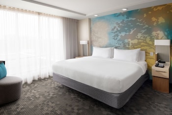 Room, 1 King Bed with Sofa bed