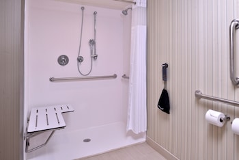 Room, 1 King Bed with Sofa bed (Mobility Accessible, Roll-In Shower)