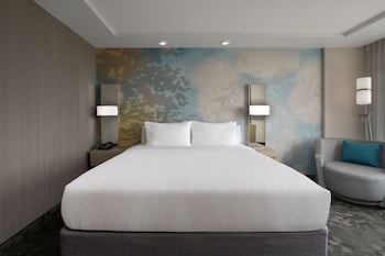 Room, 1 King Bed with Sofa bed