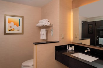 Room, 1 King Bed, Roll-in Shower