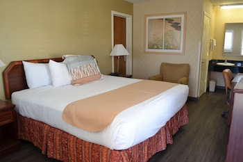 Room, 1 King Bed, Non Smoking